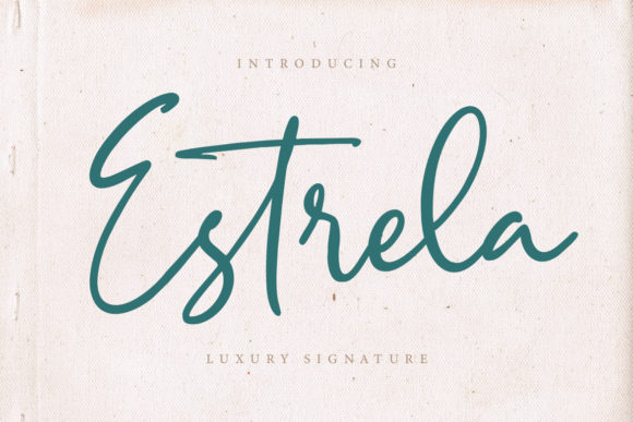 Estrela: A Designer's Honest Review for Real-World Projects