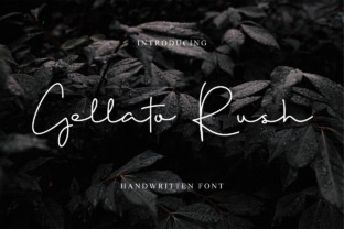 Gellato Rush: A Designer's Real-World Review