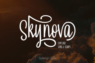 Skynova Duo: The Playful Typeface That Elevates Digital Branding