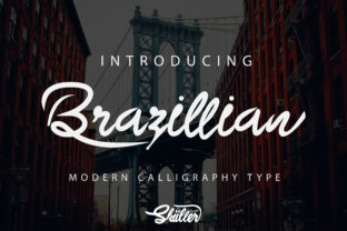 Why Brazillian Fits Real Brand Projects